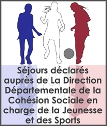 Séjours linguistiques déclarés auprès de la Direction Départementale de la Cohésion Sociale, Jeunesse et Sports